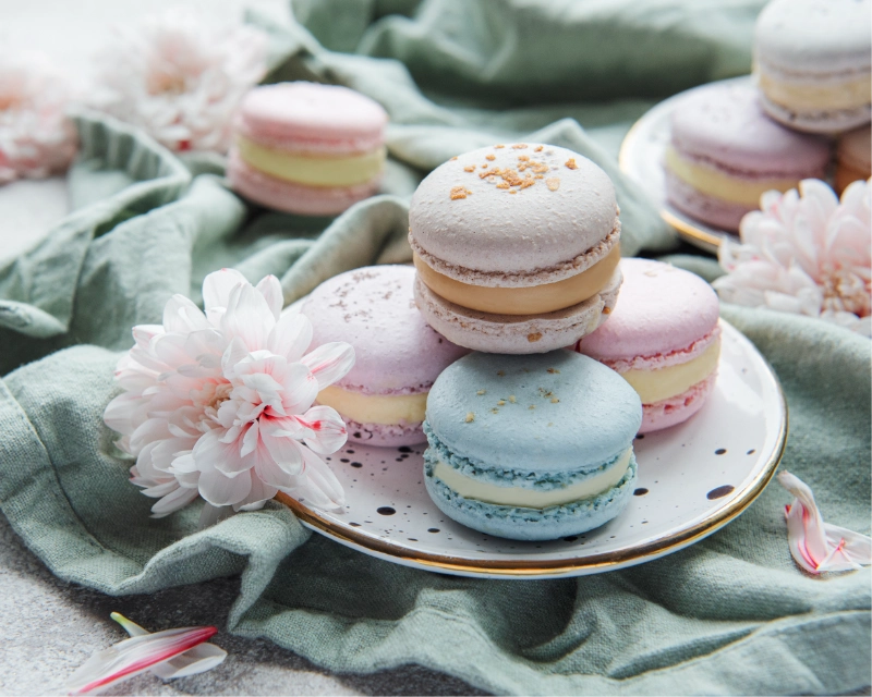 Macarons pastel garnis présentés sur une assiette